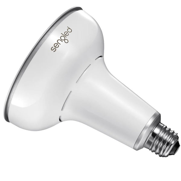 Floodlight Sengled Snap Sengled Snap HD Security Camera And Flood