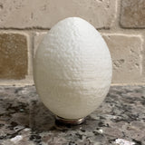 Real Easter Eggs
