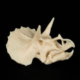 Prusa Research Prusament Resin BioBased60 Ivory White 1kg