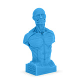 Prusa Research Prusament Resin Model Bright Cyan 1kg