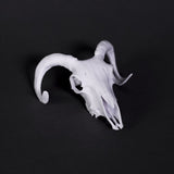 Prusa Research Prusament Resin Model Alabaster White 1kg