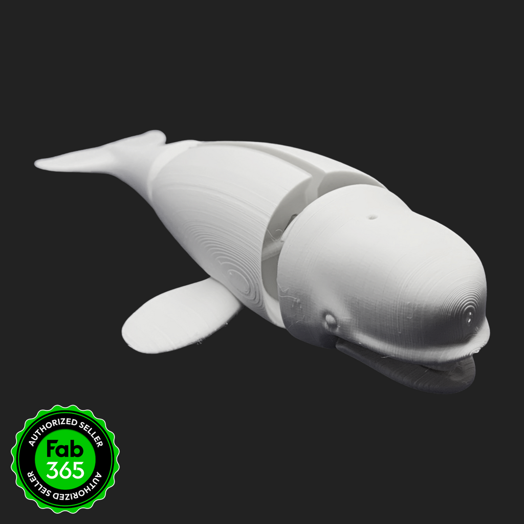 Foldable Beluga Whale