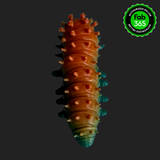Cecropia Moth Caterpillar - Flexi