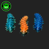 Cecropia Moth Caterpillar - Flexi