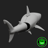 Foldable Shark
