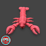Flexi Lobster