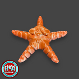 Flexi Biker Starfish