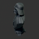 Darth Vader Bust